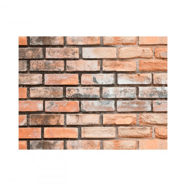 Tecido Fotográfico Parede Marrom 68X60 Cm Pb211 - Major