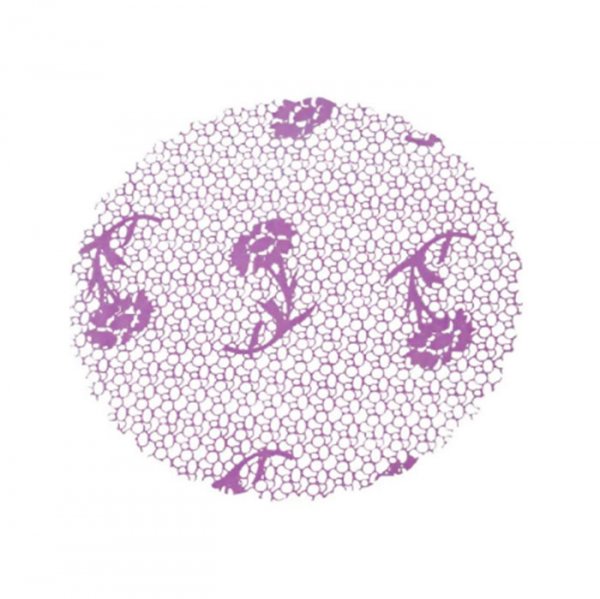 Fundo Decorado N°9 Lilas (100Un) - Packpel