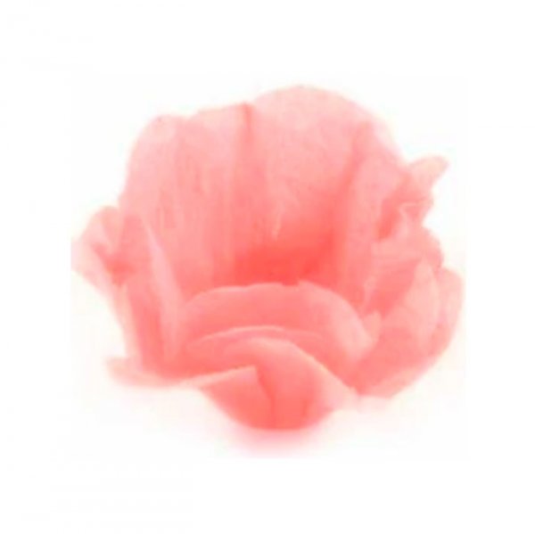 Forminha Gloria Canada Salmao 30Un (Gc01) - Formar Embalagens