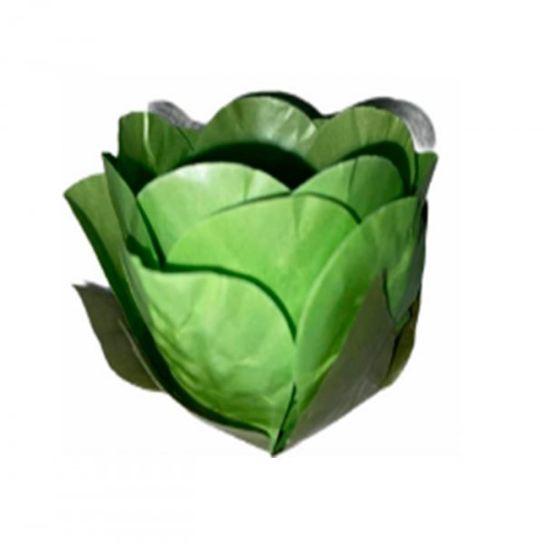 Forminha Gloria Cor Verde Pistache Fundo Pequeno (Gfp25) - Formar Embalagens