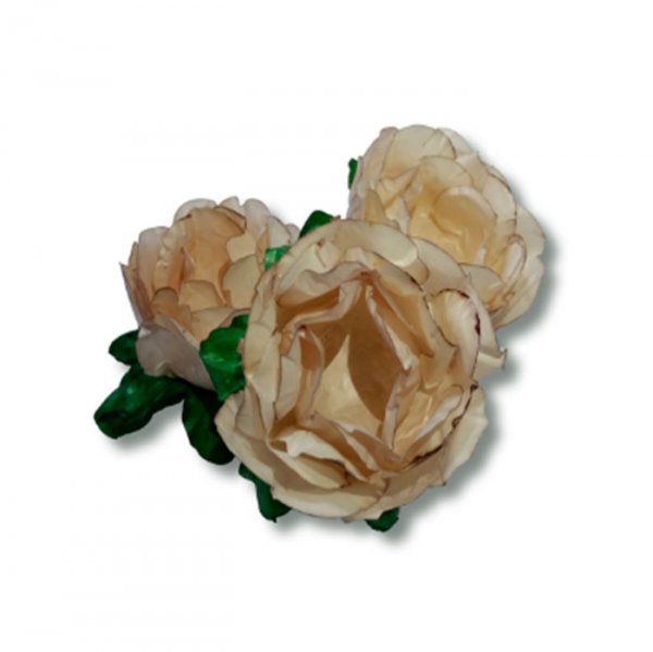 Forma Buganville Beauty Champanhe (24Un) - Lulli Fest