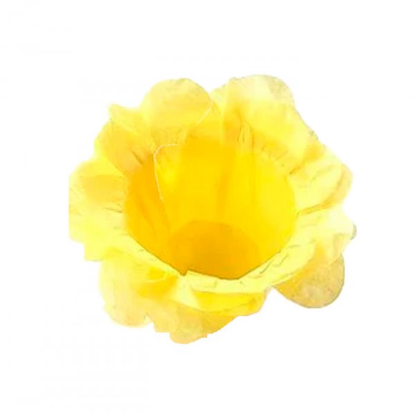 Forminha Anitta Neon Amarela (C/40) - Maxiformas