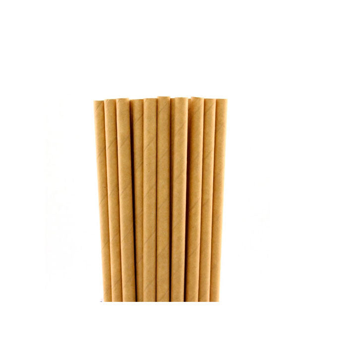 Canudo De Papel Liso Kraft  20 Unidades - Silver Festas