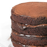 Cacau em Pó Vermelho 100% - 500g - Sicao