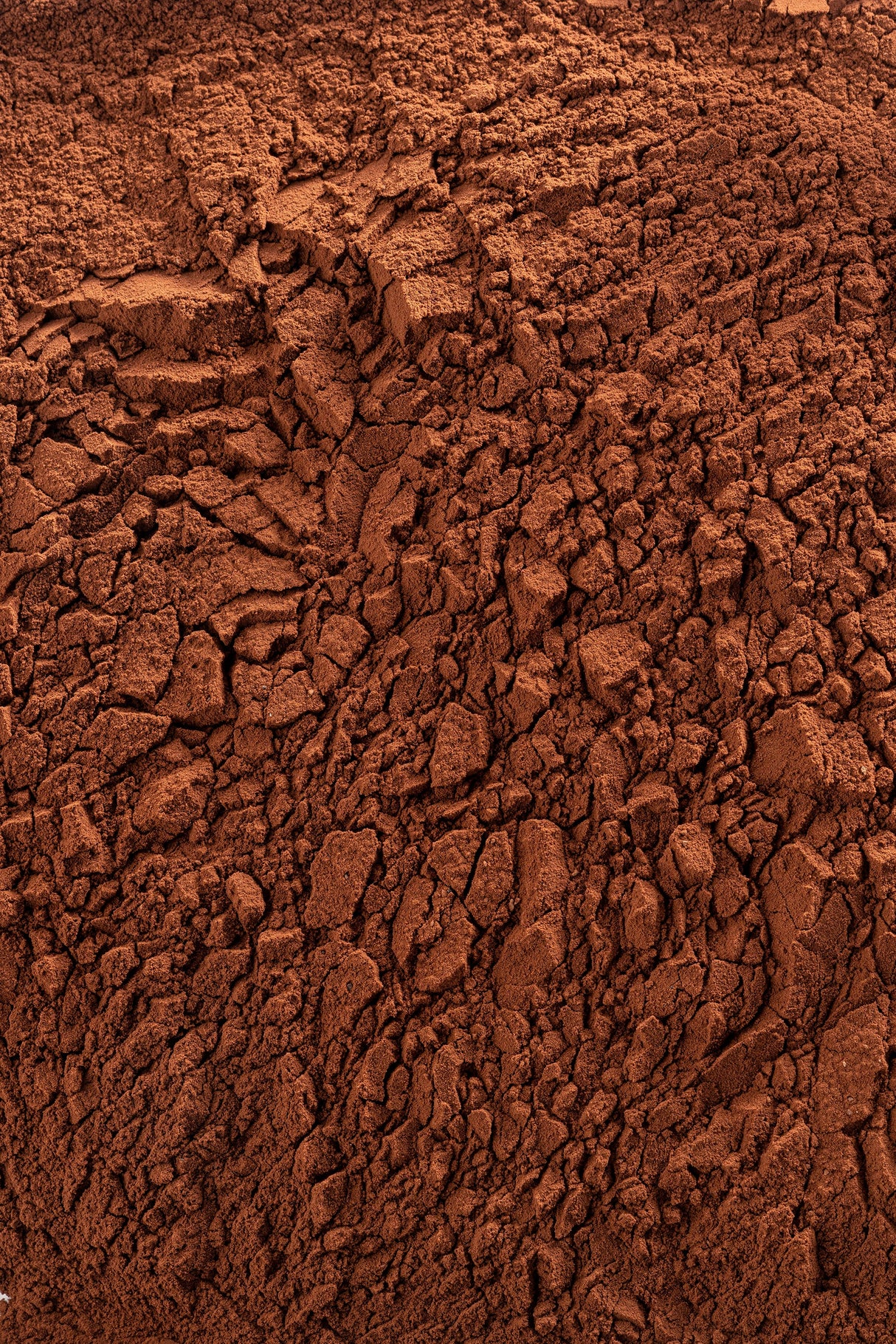 Cacau em Pó Extra Brute 100% - 1Kg - Cacao Barry