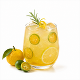 Mixybar Plus Calamansi & Yusu - 1,3kg - Fabbri