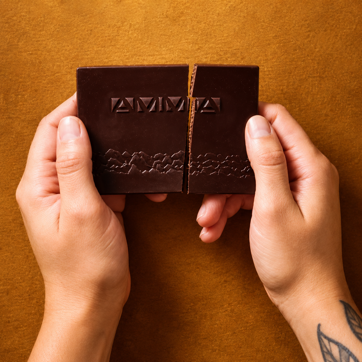 Chocolate Orgânico Prazeres da Floresta - Castanha de Caju - 80g - Amma