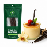Fava de Baunilha - 10un - Vanilla Brasil
