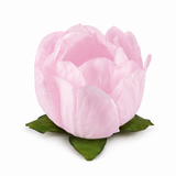 Forminha Princesa Rosa Bebê - 20un - Decora Doces