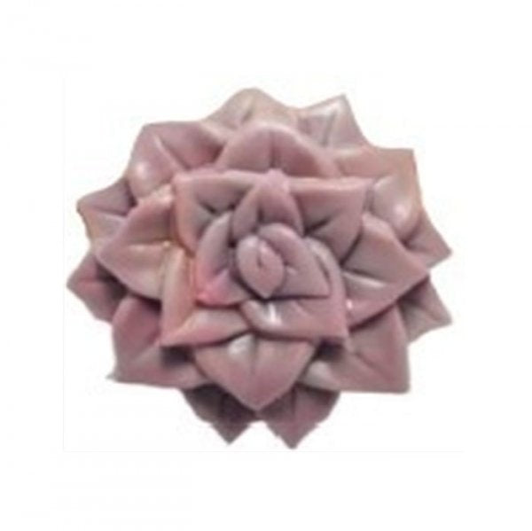 Molde Silicone Suculenta (2143) - Mazulli